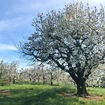 Beim Dorfbach - Hofchalets * Kressbronn am Bodensee