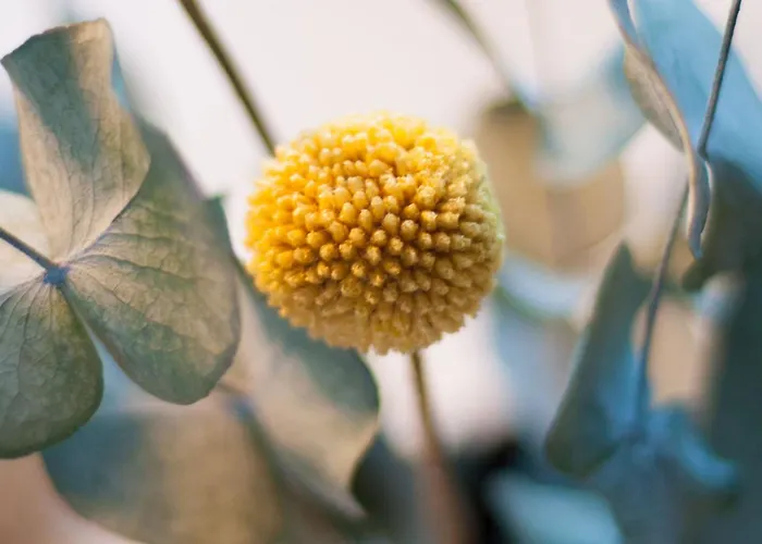 بيت للعطل Beim Dorfbach - Hofchalets كريسبرون ام بوندنس